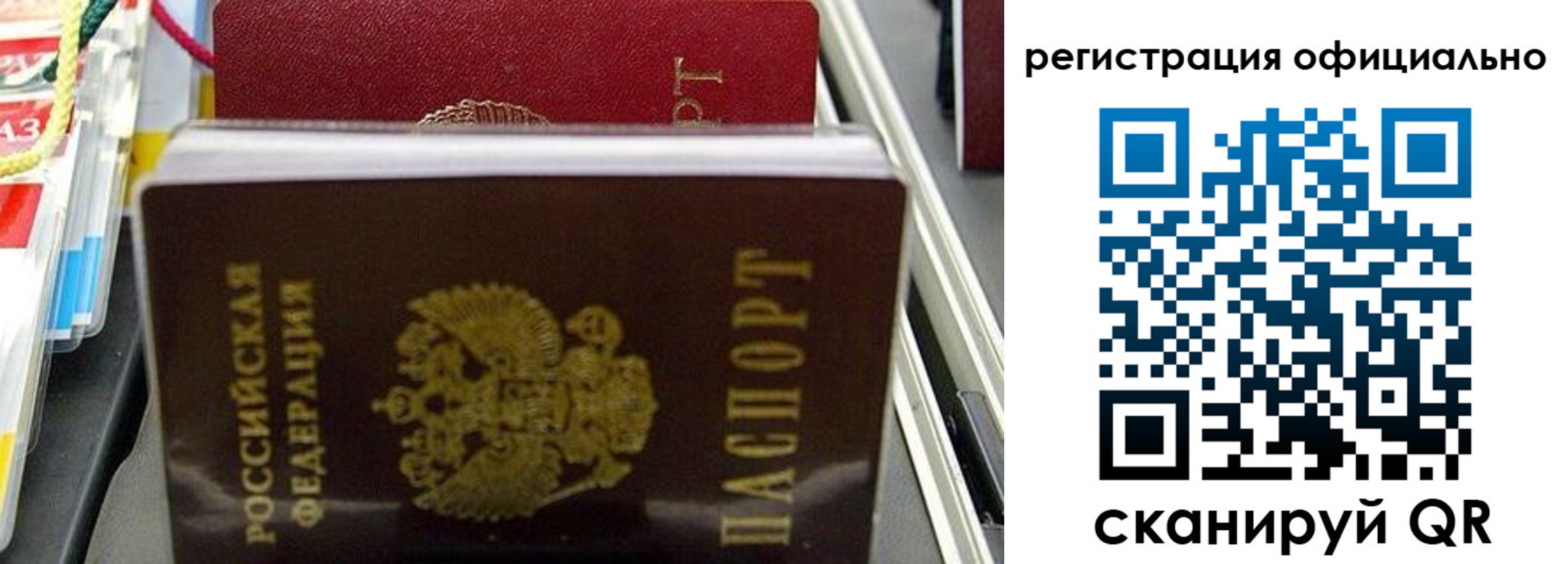 прописка 2025 в Железногорске